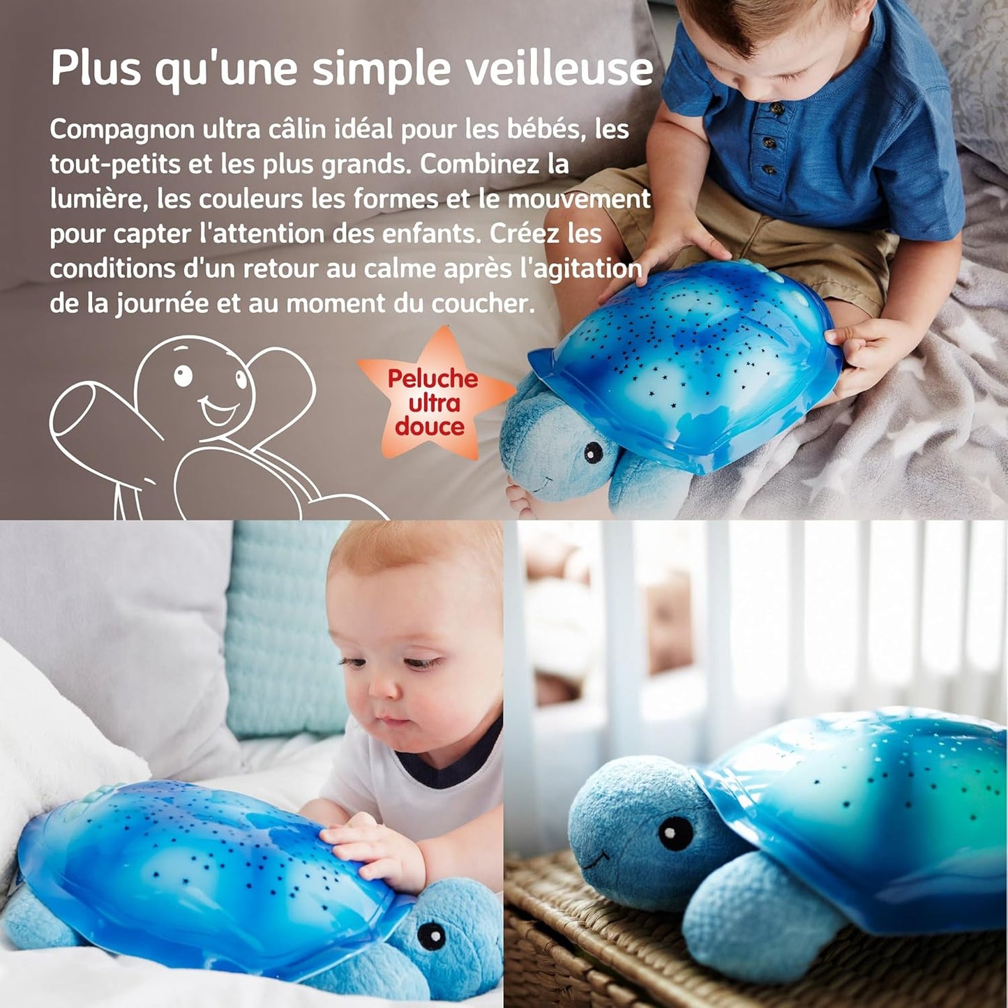 Veilleuse Tortue